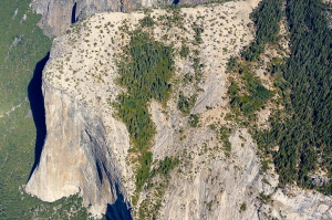 w- El Cap 2.jpg